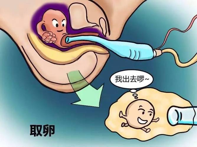 国内供卵试管代怀哪家好(国内供卵试管代怀哪家好?选择最佳试管代孕机构攻略)