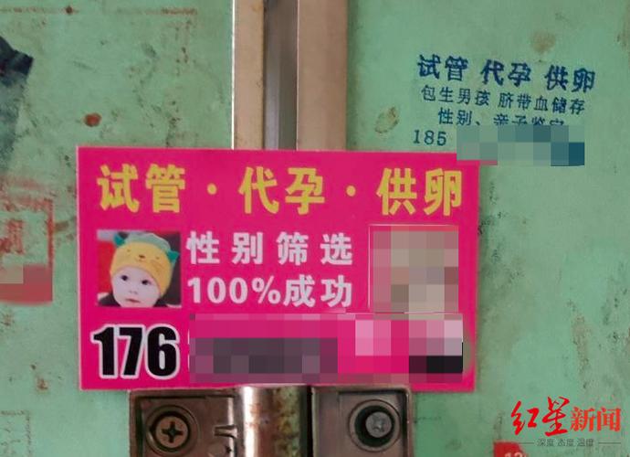 泰国试管代怀有哪些【泰国试管代怀:全面了解代孕流程】